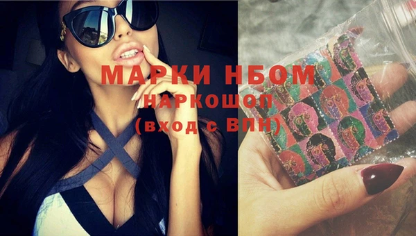 крисы Покачи