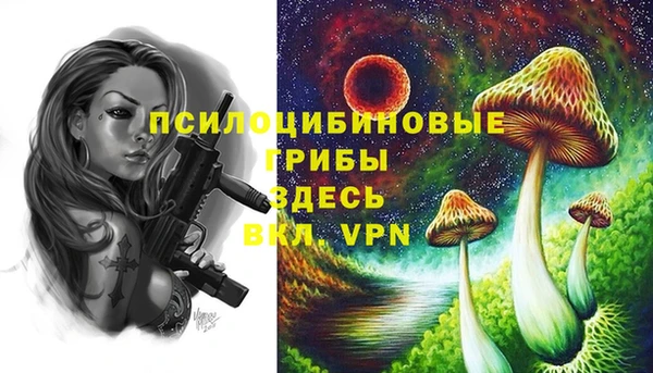 герыч Алзамай