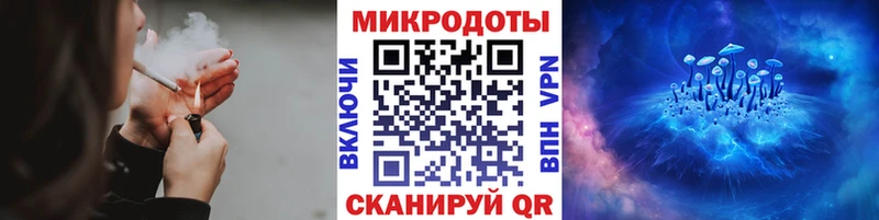 Псилоцибиновые грибы Cubensis  сайты даркнета наркотические препараты  Курчалой 
