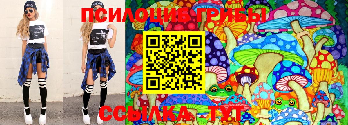 Курчалой  Галлюциногенные грибы MAGIC MUSHROOMS  Вход с VPN 